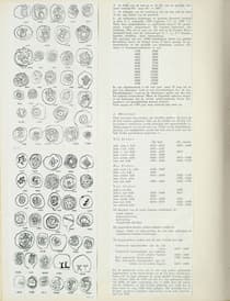 Pagina 005