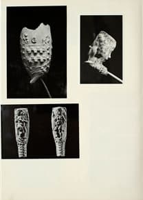 Pagina 013