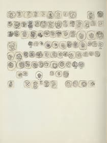 Pagina 033