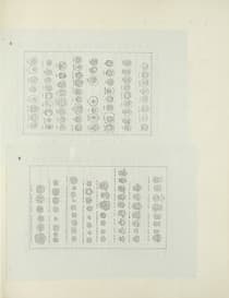 Pagina 034b