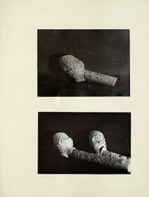Pagina 046
