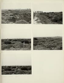 Pagina 106